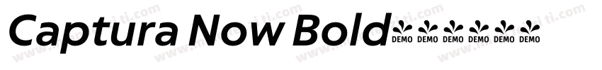 Captura Now Bold字体转换